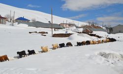 Muş'ta metrelerce karın bulunduğu köylerde yaşayanlar baharı bekliyor