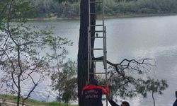 Osmaniye'de ağaca takılan kargayı itfaiye kurtardı