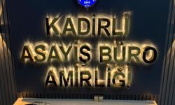 Osmaniye'de asayiş uygulamalarında yakalanan 22 firari zanlıdan 11'i tutuklandı