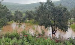 Osmaniye'de sağanak tarım arazilerine zarar verdi