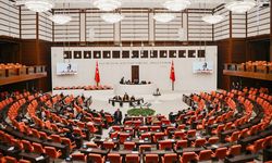 Sosyal medyaya ve doğum iznine yönelik düzenlemeleri de içeren kanun teklifi yasalaştı