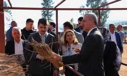 Dev Proje İle Kırıkhan Kazanıyor: İstilacı Bitkiden Milyonluk Potansiyel