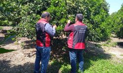 Tarımda biyolojik mücadele seferberliği