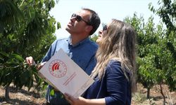 TBMM Zirai Don Olayını Araştırma Komisyonu taslak raporunu tamamladı