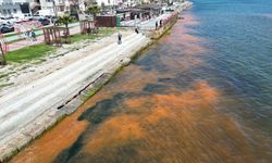 Tekirdağ'da planktonların çoğalması sonucu denizin rengi yer yer değişti