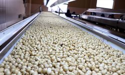 Ticaret borsalarında 7 ayda 261 bin tonu aşkın fındık işlem gördü