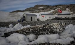 'Türk Antarktika Bilim Üssü' hazırlıkları tamamlandı