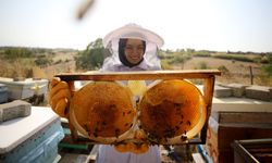 Türk balı yılın ilk çeyreğinde 31 ülkede alıcı buldu