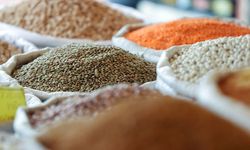 Türk hububatçılardan yılın ilk çeyreğinde 2 milyar 828 milyon dolarlık ihracat