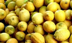 Türkiye yılın ilk çeyreğinde en fazla mandalinayı Irak'a, limonu Rusya'ya sattı