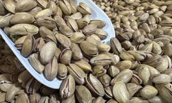 Türkiye'den yılın ilk çeyreğinde 32,8 milyon dolarlık fıstık ihracatı