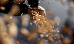 Türkiye'nin sertifikalı tohum üretimi son 10 yılda yüzde 50,7 arttı