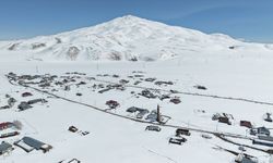 Van ve Bitlis'in kırsal bölgelerinde zorlu kış şartlarıyla mücadele sürüyor
