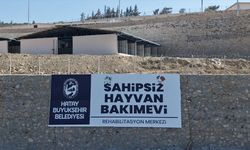 Hatay'da Sahipsiz Hayvanlar İçin Dev Merkez !
