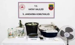Hatay'da Şok Olay ! Kenevir Yetiştirmek İçin Eve Özel Sistem Kurmuş
