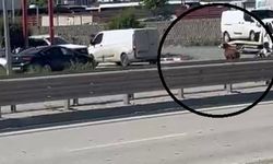 Orta Refüjü Aşıp Kaçtı! Hatay’da Firari Keçi Sahibini Peşinden Koşturdu
