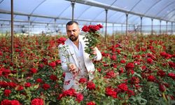 Adana'da gül üreticisi Anneler Günü dolayısıyla huzurevi sakinlerine çiçek hediye etti
