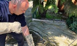 Adana'da otomobilin motor bölümüne giren yılanı itfaiye ekipleri çıkardı
