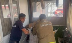 Antakya'da eve giren yılanı itfaiye yakaladı