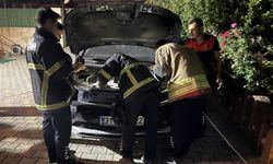 Antakya'da otomobilin motoruna giren kediyi itfaiye kurtardı