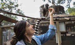 Antalya Doğal Yaşam Parkı'nda yavru lemur sevinci