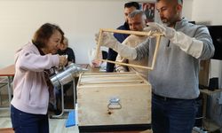 Antalya'da arıcılığa ilgi duyanlara ve üreticilere kurs verildi