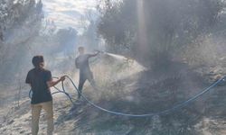 Antalya'da ormanlık alanda yangın