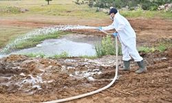 Büyükşehir'den kurban satış alanlarında ilaçlama
