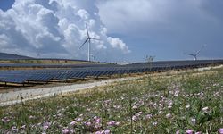 Enerji piyasasında Türkiye'nin yükselen rolü dikkati çekiyor