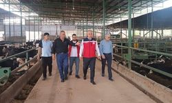 Hatay'da Bayram öncesi hayvan satış yerlerinde sıkı denetim