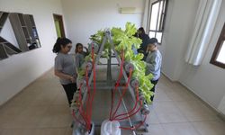 Hataylı Öğrencilerden Geleceğin Tarımına Yeşil Dokunuş