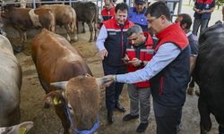 Kurban Bayramı öncesi 4 milyonu aşkın hayvan denetlendi