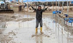 Kurban pazarlarını su bastı, besiciler belediyeye isyan etti