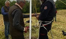Osmaniye'de su kuyusuna düşen tilkiyi itfaiye ekibi çıkardı