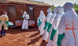 Ebola Salgını Yayılıyor: 900’ü Aşkın Vaka, 200’ü Geçen Ölüm!