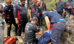 Samandağ’da Kekik Toplama Kabusa Döndü