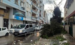 Şanlıurfa'da fırtınanın verdiği hasar gün aydınlanınca ortaya çıktı