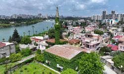 Sarmaşık kaplı cami baharın gelişiyle yeşil görünüme kavuştu
