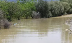 Hatay'da Yağış Sonrası Korkutan Bilanço !
