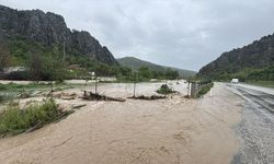 Tokat'ta derenin taşması sonucu ev ve arazileri su bastı