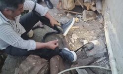 Hatay'da Nefes Kesen Anlar! İki Dev Yılanı Eliyle Yakaladı