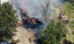 Adana'da büyükbaş çiftliğinde çıkan yangın söndürüldü
