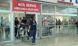 Adana'da devrilen biçerdöverin sürücüsü yaralandı