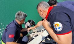 Adana'da köprüden nehre düşen kadını itfaiye ekipleri kurtardı
