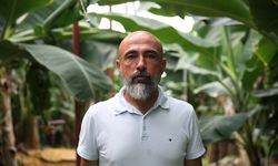 Alanya'da tropikal meyve üreticileri iklim değişikliğine 'akıllı otomasyonla' hazırlanıyor