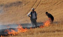 Hatay’da Çevreyi Koruyan Adım Meyvesini Verdi !