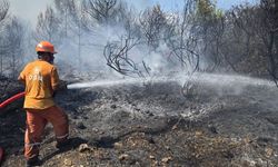 Antalya'da çıkan orman yangınına müdahale ediliyor