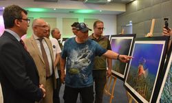 Antalya'da 'Dünya Deniz Kaplumbağaları Günü' etkinliği düzenlendi