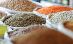 Bakan Yumaklı TMO'nun hububat alım ödemelerine başladığını bildirdi