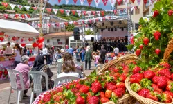 Yayladağı'nda Çilek Ve Müzik Şöleni Başlıyor! Festival Tarihi Belli Oldu